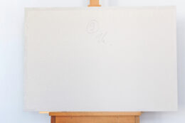 049 Japońska, z cyklu Recycled News, 2006, akwarela, 9 x 64 x 89 cm
